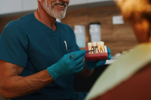 The dentist shows a dental implant model to a female patient during consultation.